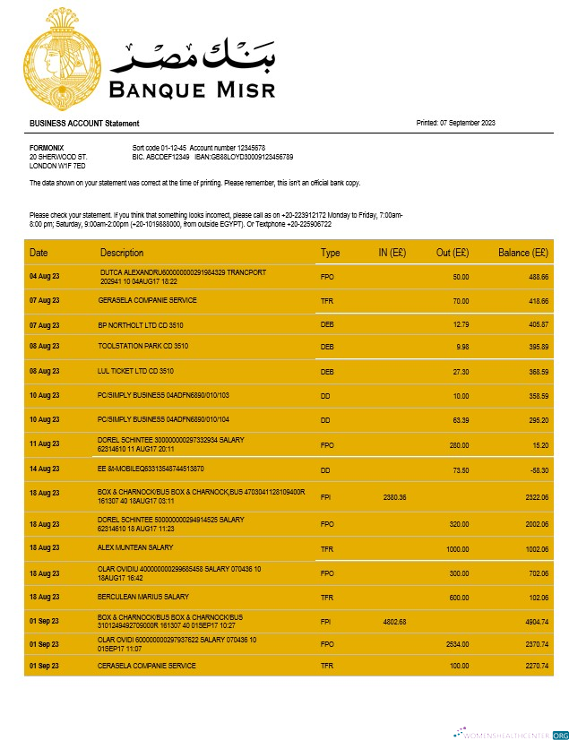 Download Banque Misr organization checking account statement Word and PDF template Photoshop template